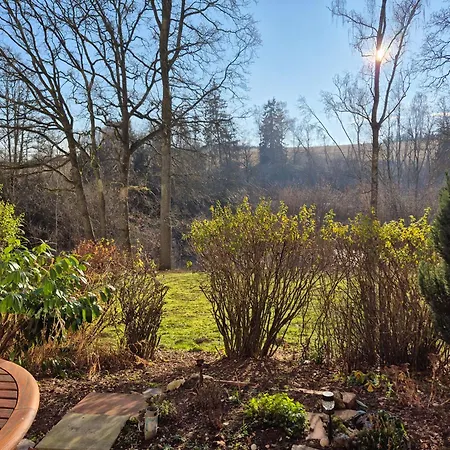Naturblick Am Rothaarsteig Mit Terrasse & Gratis Pkw Parkplatz & Highspeed Internet Flatrate & Xxl Boxspringbett In 10 Minuten Bis Willingen Ideal Fuer Touristen Und Geschaeftsleute Mit Mwst-rechnung Daire *