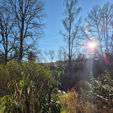 Naturblick Am Rothaarsteig Mit Terrasse & Gratis Pkw Parkplatz & Highspeed Internet Flatrate & Xxl Boxspringbett In 10 Minuten Bis Willingen Ideal Fuer Touristen Und Geschaeftsleute Mit Mwst-rechnung Lejlighed Brilon
