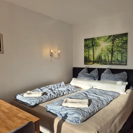 Naturblick Am Rothaarsteig Mit Terrasse & Gratis Pkw Parkplatz & Highspeed Internet Flatrate & Xxl Boxspringbett In 10 Minuten Bis Willingen Ideal Fuer Touristen Und Geschaeftsleute Mit Mwst-rechnung Daire Brilon