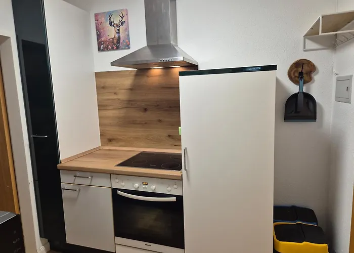 Neue Moderne Naturblick Am Rothaarsteig Mit Highspeed Internet Flatrate Xxl Boxspringbett Terrasse Mit Pkw Parkplatz In 10 Minuten Bis Willingen Ideal Fuer Touristen Und Geschaeftsleute Mit Rechnung Brilon