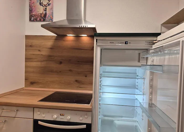 Appartement Neue Moderne Naturblick Am Rothaarsteig Mit Highspeed Internet Flatrate Xxl Boxspringbett Terrasse Mit Pkw Parkplatz In 10 Minuten Bis Willingen Ideal Fuer Touristen Und Geschaeftsleute Mit Rechnung Brilon