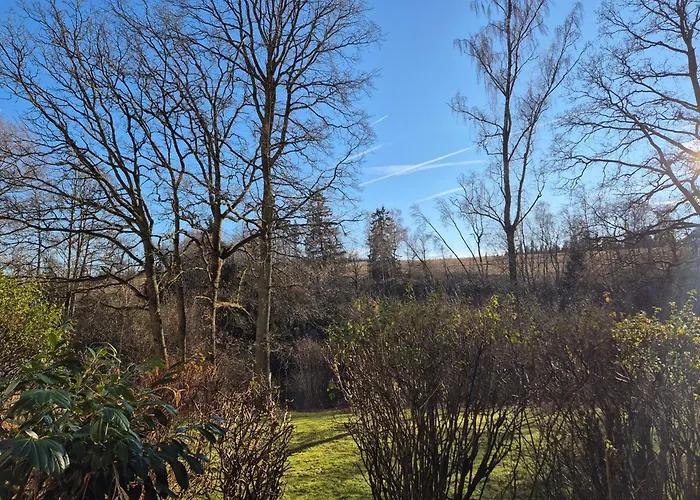 Appartement Neue Moderne Naturblick Am Rothaarsteig Mit Highspeed Internet Flatrate Xxl Boxspringbett Terrasse Mit Pkw Parkplatz In 10 Minuten Bis Willingen Ideal Fuer Touristen Und Geschaeftsleute Mit Rechnung Brilon