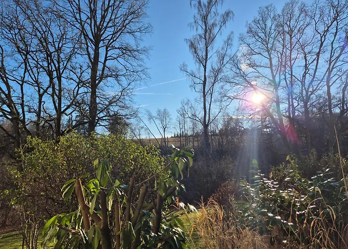 Neue Moderne Naturblick Am Rothaarsteig Mit Highspeed Internet Flatrate Xxl Boxspringbett Terrasse Mit Pkw Parkplatz In 10 Minuten Bis Willingen Ideal Fuer Touristen Und Geschaeftsleute Mit Rechnung Appartement Brilon